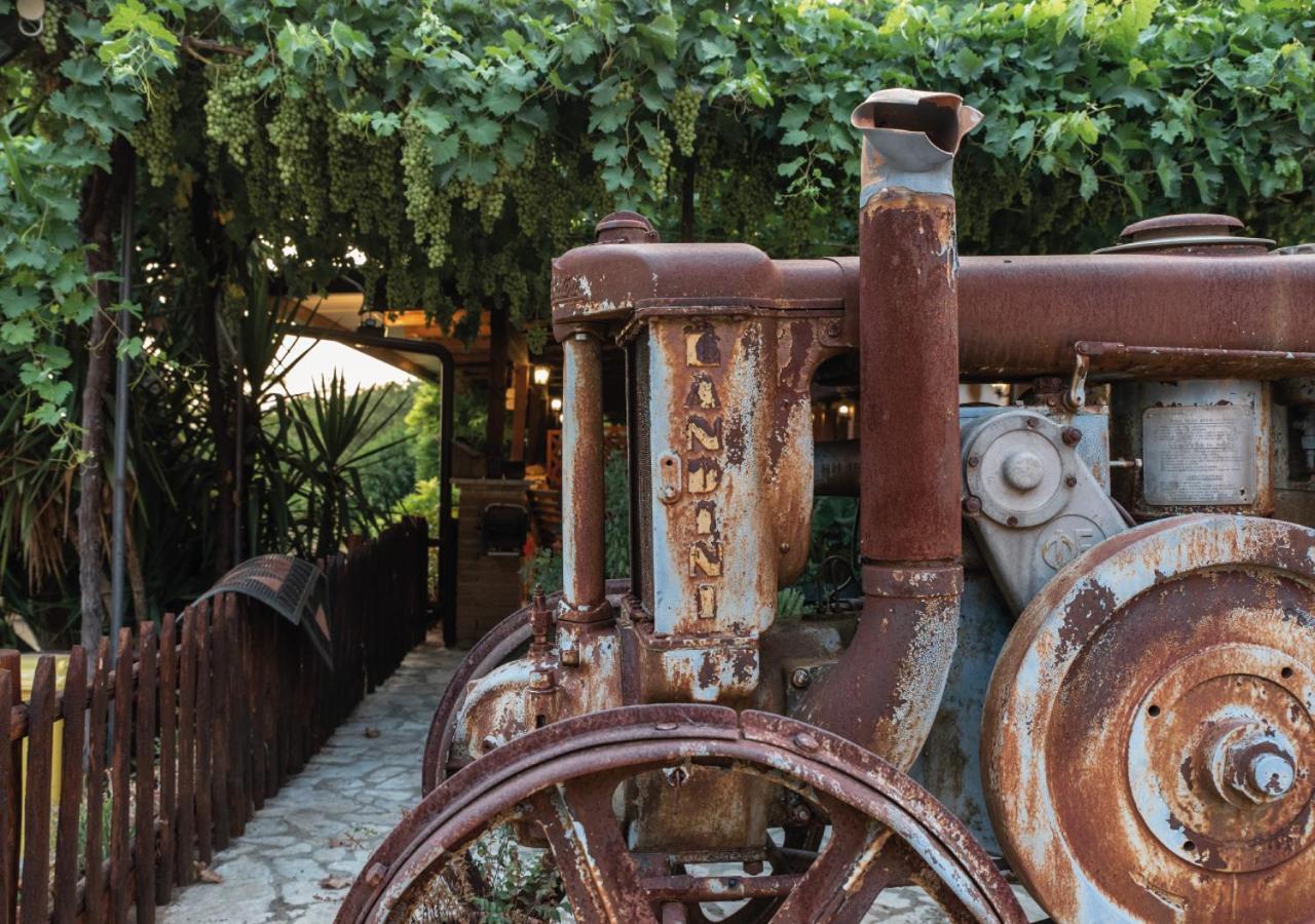 Il Sorgituro - Agriturismo 포스티글리오네 외부 사진