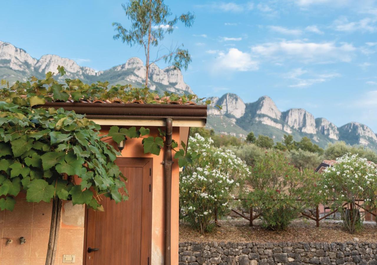 Il Sorgituro - Agriturismo 포스티글리오네 외부 사진