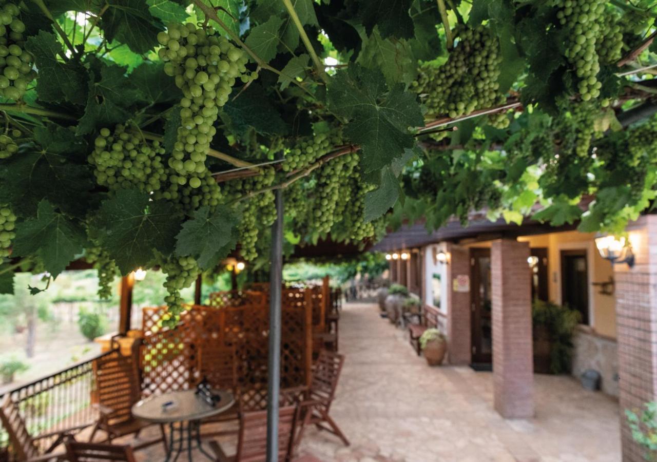 Il Sorgituro - Agriturismo 포스티글리오네 외부 사진