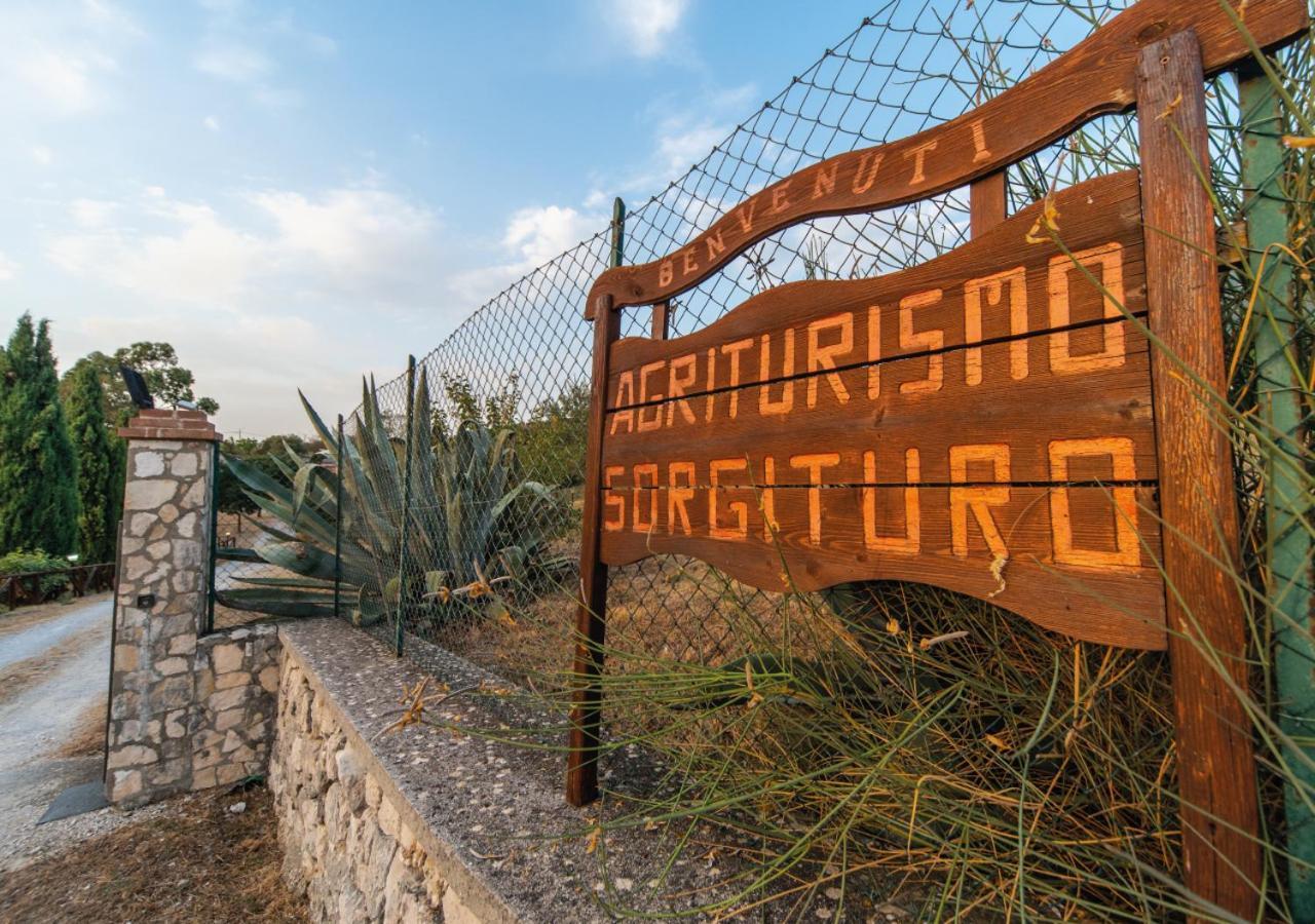Il Sorgituro - Agriturismo 포스티글리오네 외부 사진